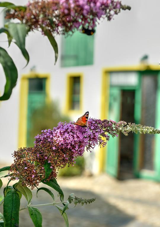 Landhotel Schwarzer Adler Suelzetal المظهر الخارجي الصورة